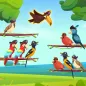 Pirate Bird Sort- Color Puzzle