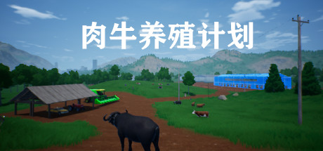 肉牛养殖计划