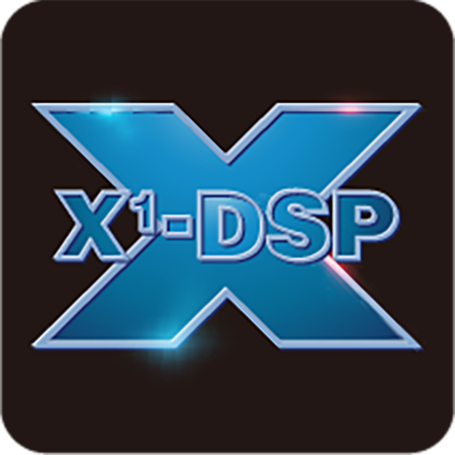 X1 DSP