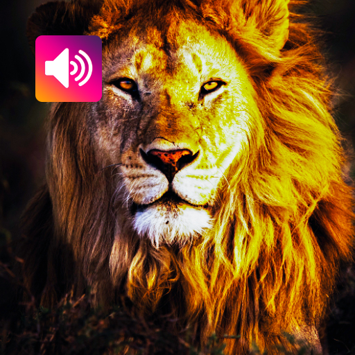 Lion: Sounds & Ringtones