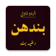 Best Urdu Novel by Razia Butt