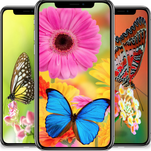 Butterfly wallpapers