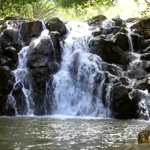 Real Nature Live Wallpaper