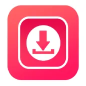 Video downloader for Ins