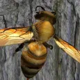Bee Nest Simulator 3D - Insect