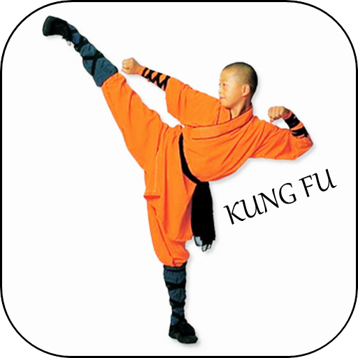 Learn Kung fu easy