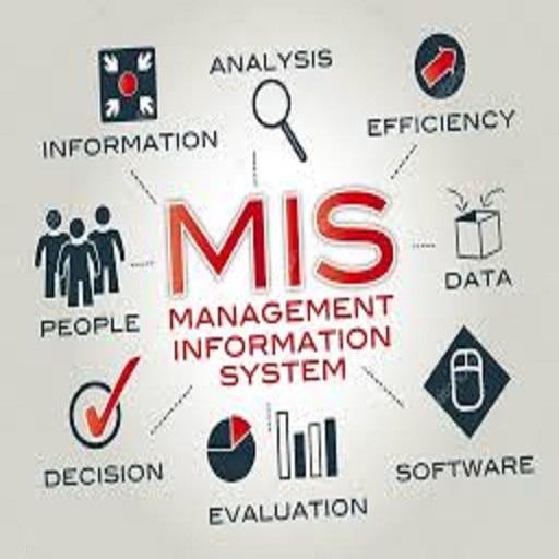 Management Information System(