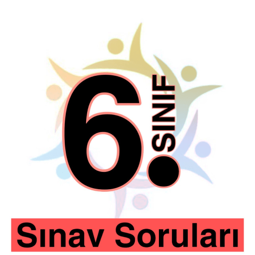 6. Sınıf Sınava Hazırlık