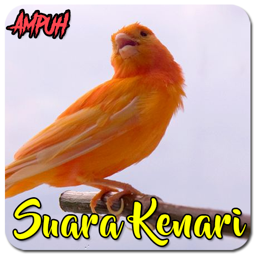 Masteran Kenari Gacor Ampuh
