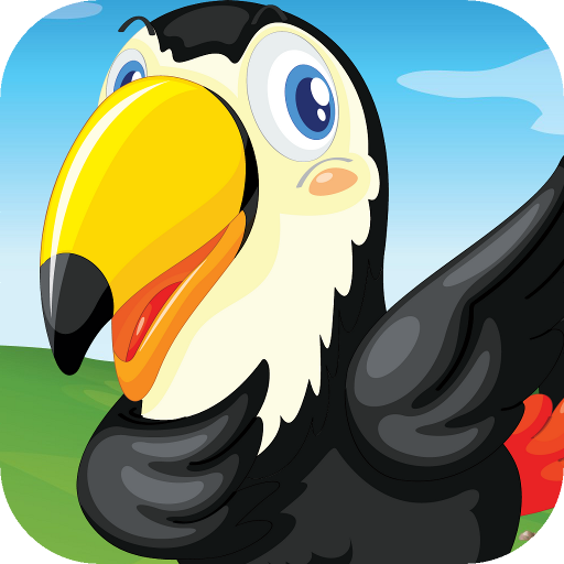 Pet Birds Puzzle Game for kids