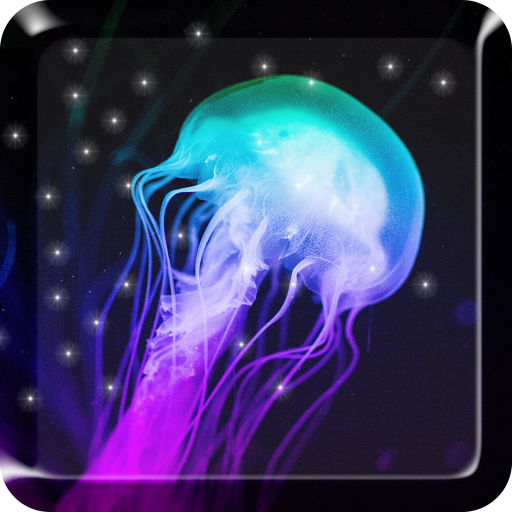 Jellyfish live wallpaper