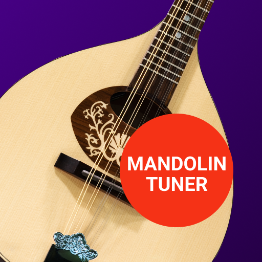 Usta Mandolin Akortçusu