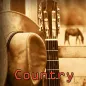 Old Country Music