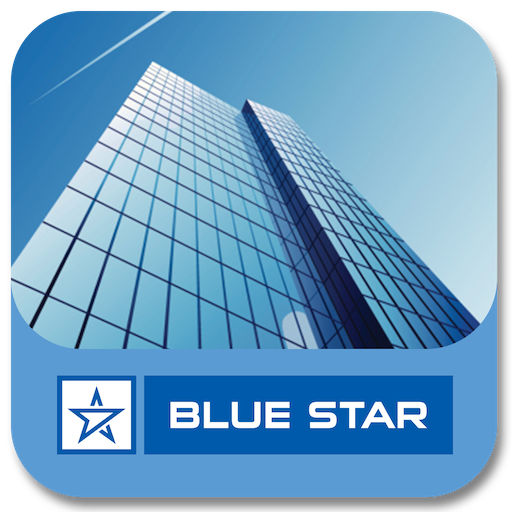 Blue Star Smart AC ( WiFi )