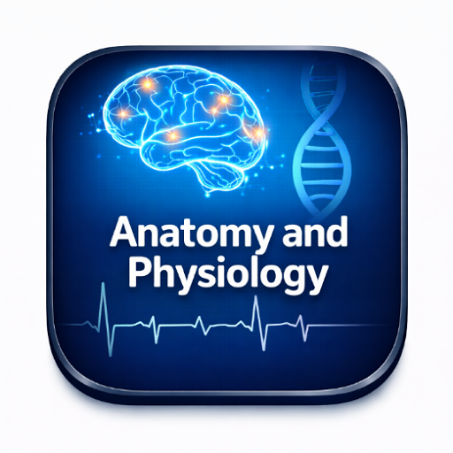 Anatomy and physiology