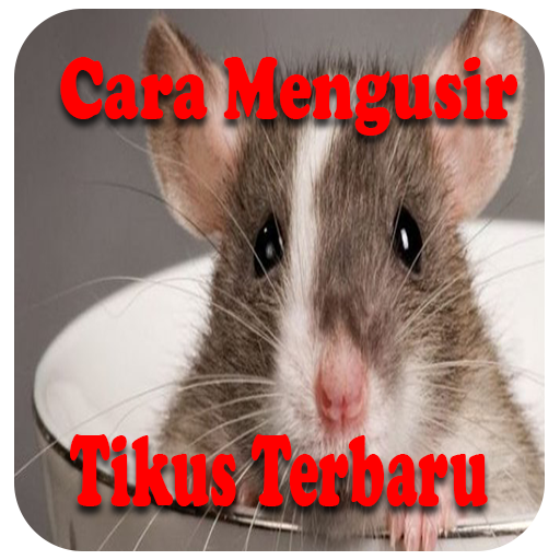 Cara Mengusir Tikus Terbaru Mu