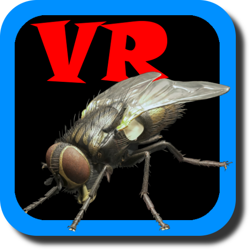 VR Fly