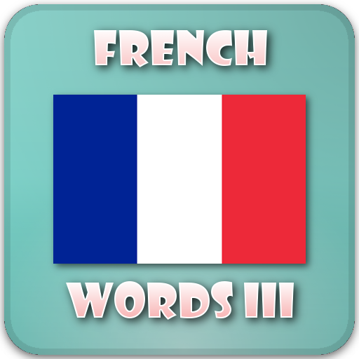 French vocabulary trainer