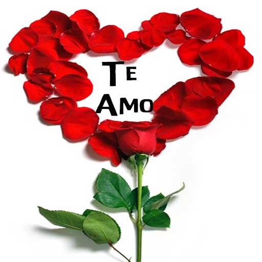 Rosas de Amor con Frases