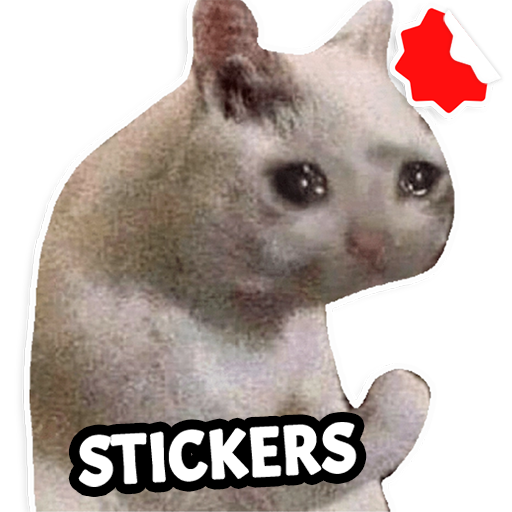 Cat Memes Stickers WASticker