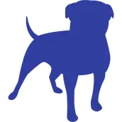 Pongo Premium