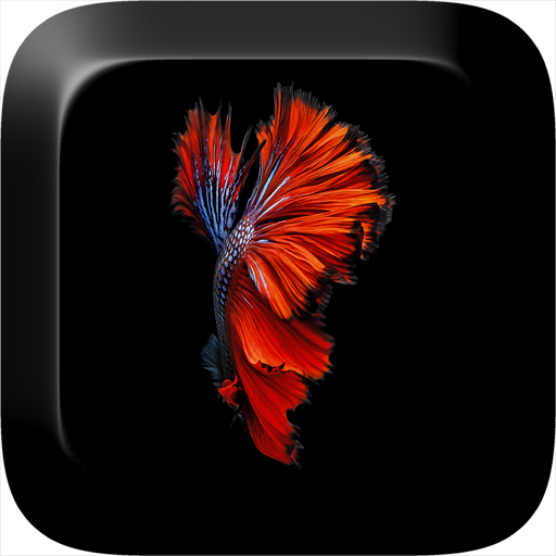 Fish 3D Live Wallpaper