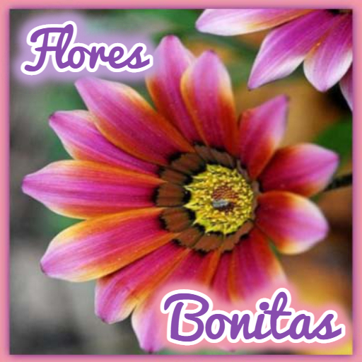 Flores Bonitas