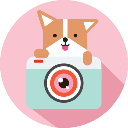 Cozy Camera-Photo&Video Editor