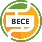 BECE TestDriller 2025