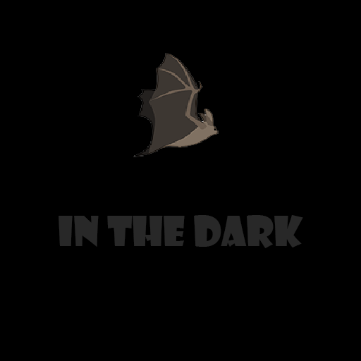 In The Dark