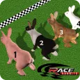 Rabbit Racing Adventure 3D