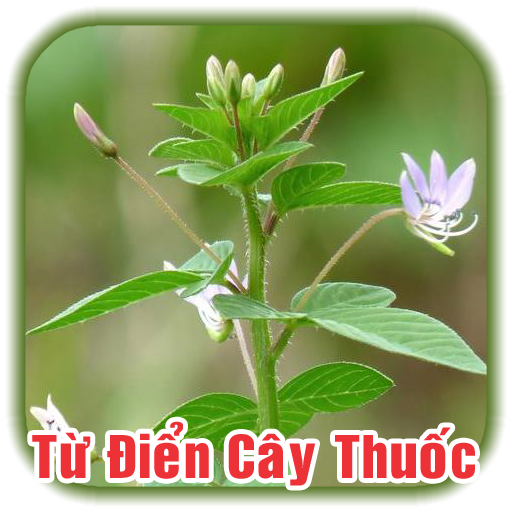 Từ Điển Cây Thuốc Đông Y Việt