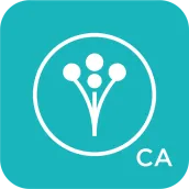 WeddingWire Planning App