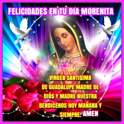 Download Virgen de Guadalupe Frases android on PC