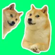 Stickers Doge Meme