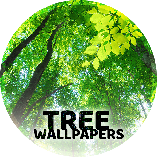 पेड़ों के साथ वॉलपेपर 4K