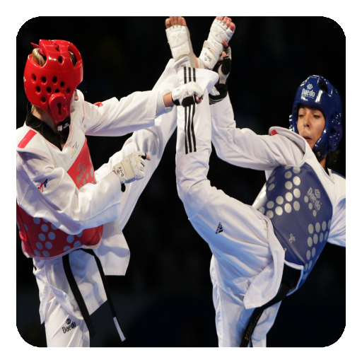 Taekwondo Guide