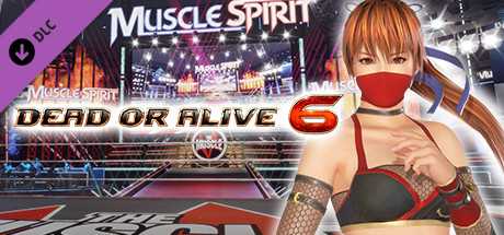 DOA6 Kasumi Deluxe Costume