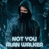 Not You Alan Walker Offline