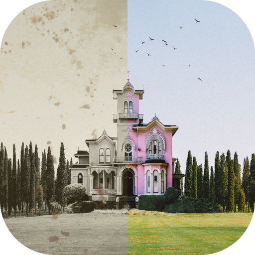 Colorize Photos