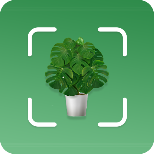 Plant Finder: Plant Identifier