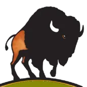 The Bison App
