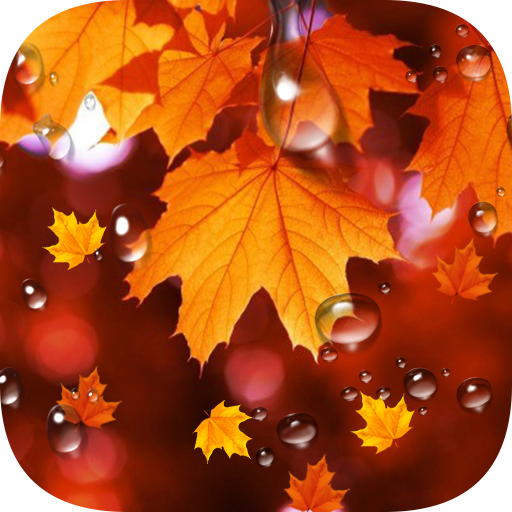 Maple Leaf Droplets Wallpaper