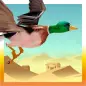 Sahara Desert Bird Simulation
