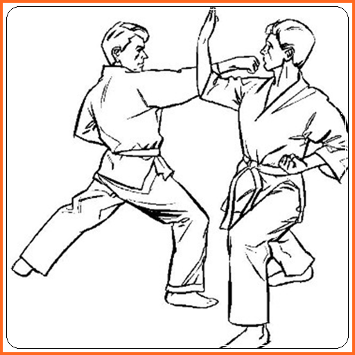 Aprenda Karate