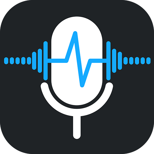 Voice Recorder Audio Sound MP3