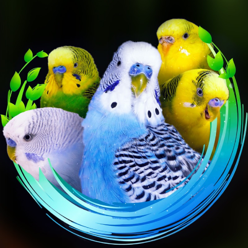 Alen AxP Budgie Community