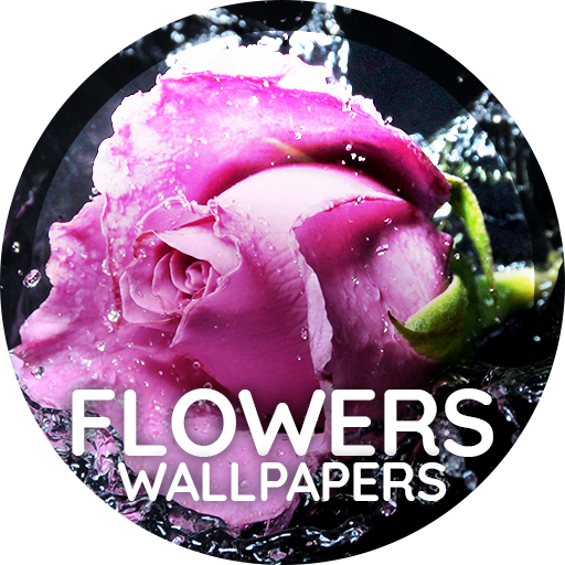 Flowers wallpaper for phone