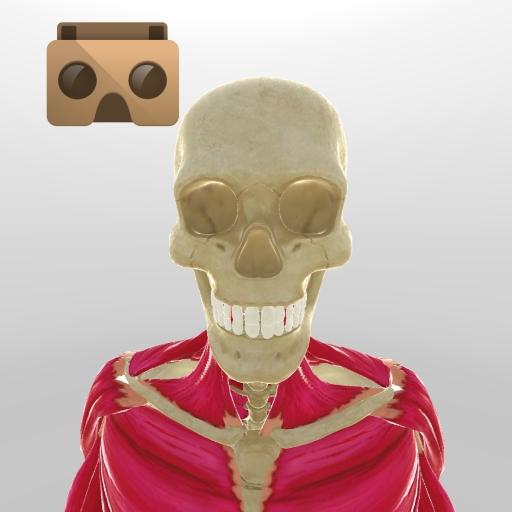 Anatomía VR