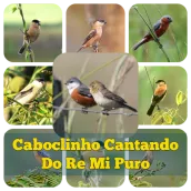 Caboclinho Cantando Do Re Mi